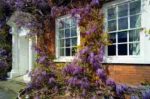 Get the look of vintage windows