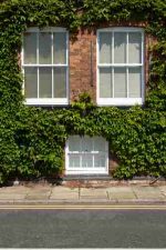 Timber or uPVC Windows — Which Are Best?