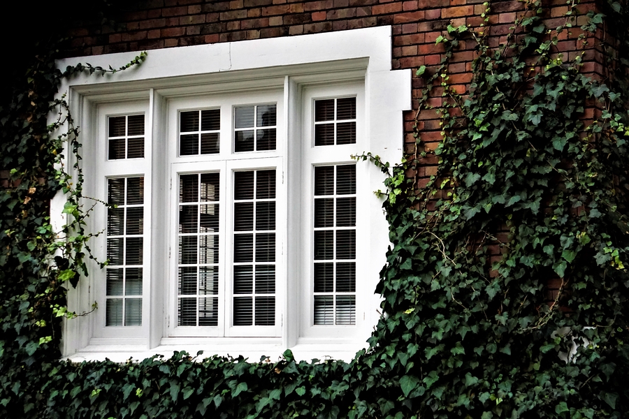 Timber sash windows